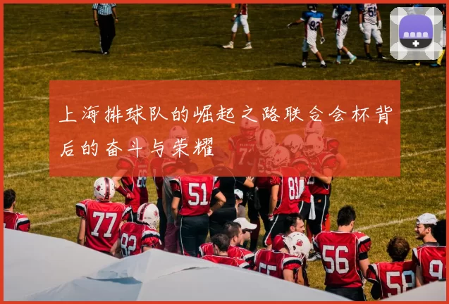 上海排球队的崛起之路联合会杯背后的奋斗与荣耀