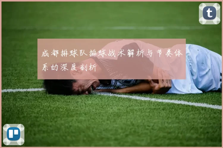 成都排球队排球战术解析与节奏体系的深度剖析