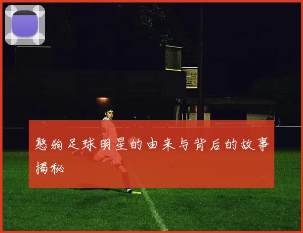 憨狗足球明星的由来与背后的故事揭秘