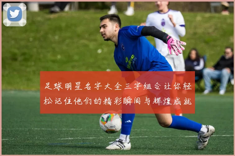 足球明星名字大全三字组合让你轻松记住他们的精彩瞬间与辉煌成就