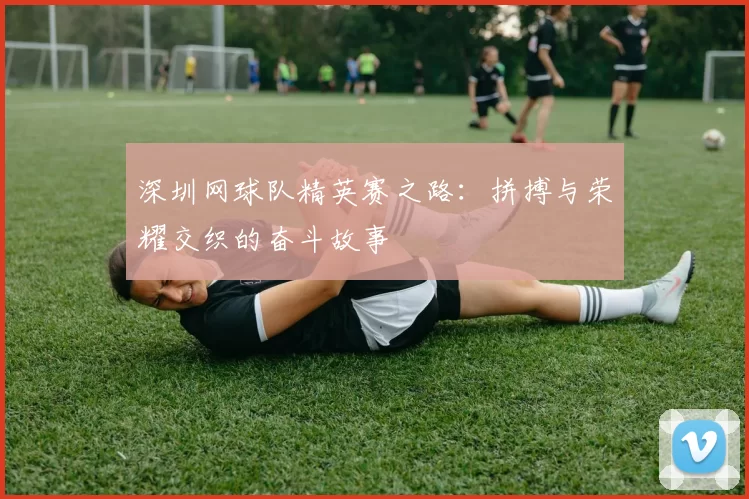 深圳网球队精英赛之路：拼搏与荣耀交织的奋斗故事