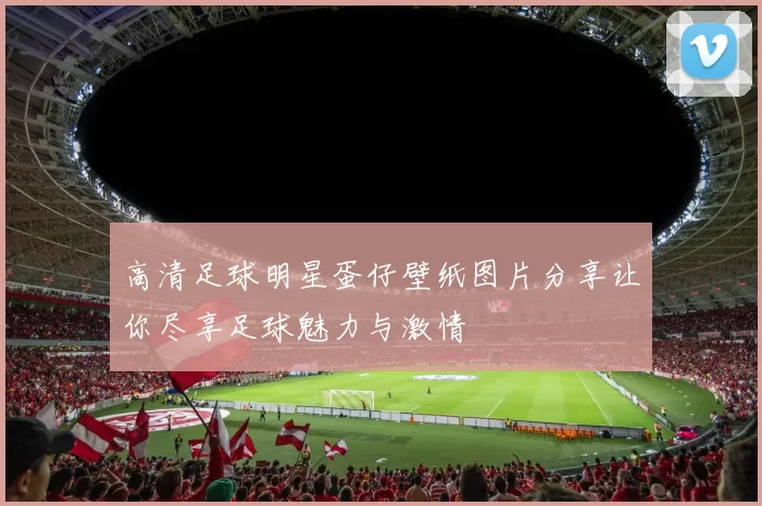高清足球明星蛋仔壁纸图片分享让你尽享足球魅力与激情