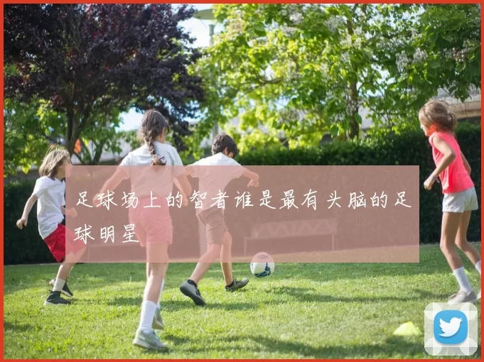 足球场上的智者谁是最有头脑的足球明星