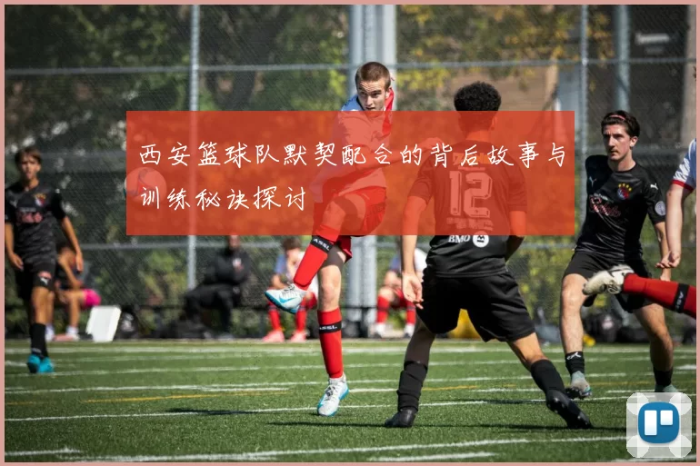 西安篮球队默契配合的背后故事与训练秘诀探讨