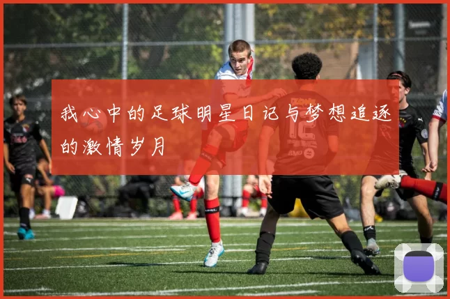 我心中的足球明星日记与梦想追逐的激情岁月