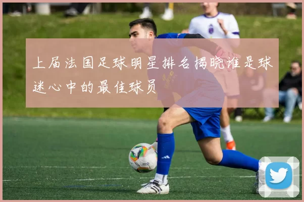 上届法国足球明星排名揭晓谁是球迷心中的最佳球员