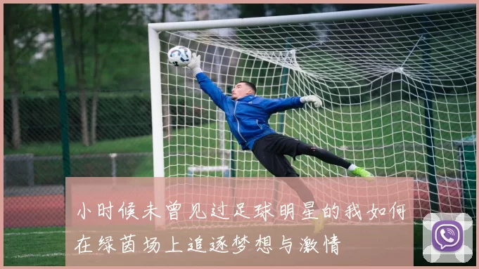 小时候未曾见过足球明星的我如何在绿茵场上追逐梦想与激情