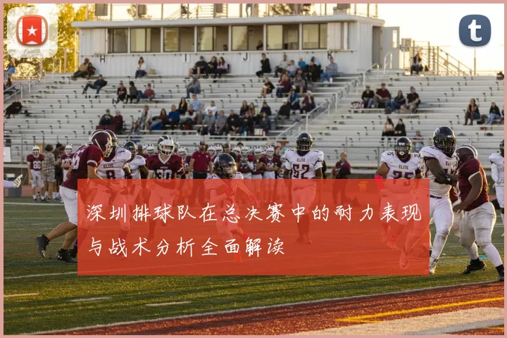 深圳排球队在总决赛中的耐力表现与战术分析全面解读