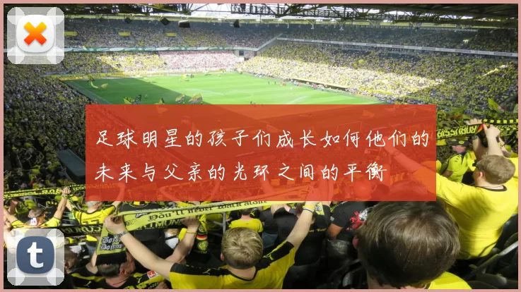 足球明星的孩子们成长如何他们的未来与父亲的光环之间的平衡