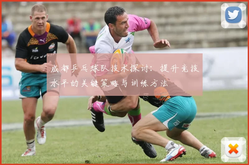 成都乒乓球队技术探讨：提升竞技水平的关键策略与训练方法