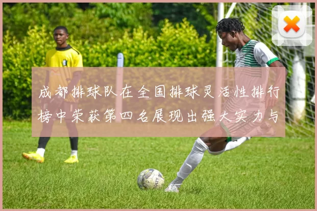 成都排球队在全国排球灵活性排行榜中荣获第四名展现出强大实力与潜力