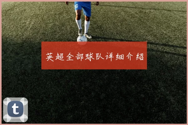 英超全部球队详细介绍