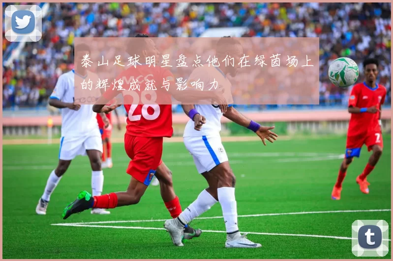 泰山足球明星盘点他们在绿茵场上的辉煌成就与影响力