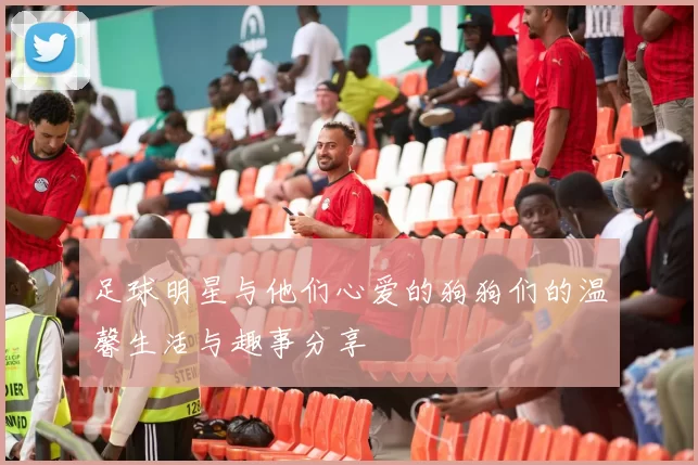 足球明星与他们心爱的狗狗们的温馨生活与趣事分享