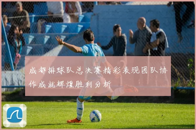 成都排球队总决赛精彩表现团队协作成就辉煌胜利分析