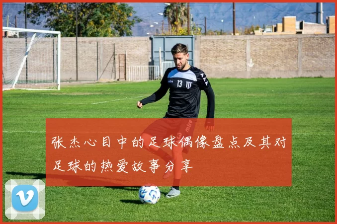 张杰心目中的足球偶像盘点及其对足球的热爱故事分享