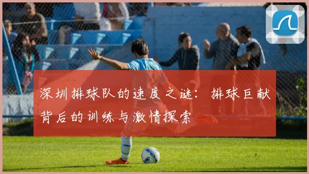 深圳排球队的速度之谜：排球巨献背后的训练与激情探索