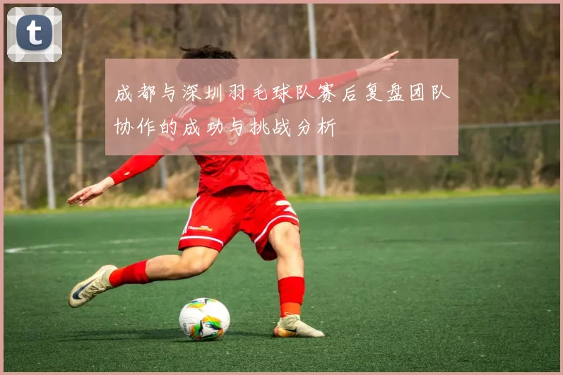 成都与深圳羽毛球队赛后复盘团队协作的成功与挑战分析