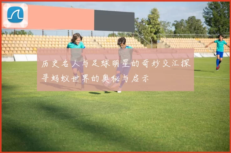 历史名人与足球明星的奇妙交汇探寻蚂蚁世界的奥秘与启示