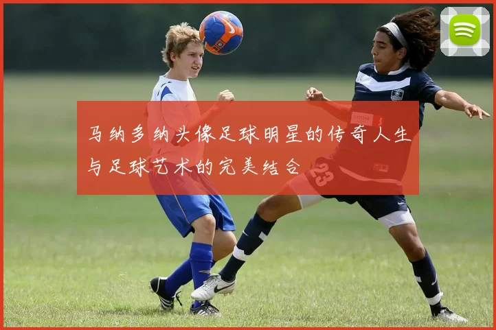 马纳多纳头像足球明星的传奇人生与足球艺术的完美结合