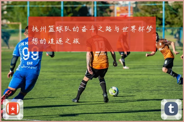杭州篮球队的奋斗之路与世界杯梦想的追逐之旅