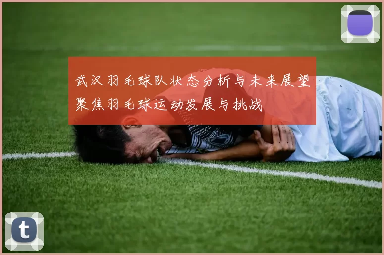 武汉羽毛球队状态分析与未来展望聚焦羽毛球运动发展与挑战