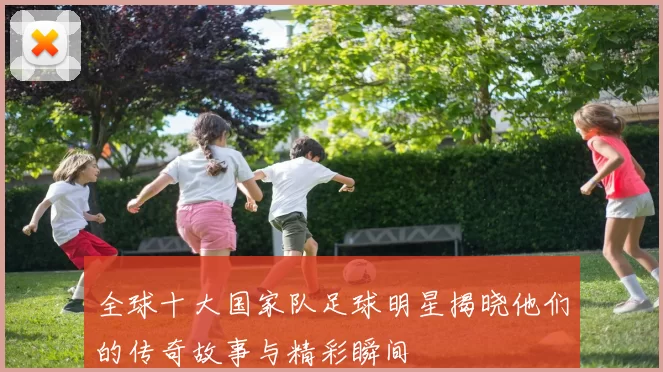 全球十大国家队足球明星揭晓他们的传奇故事与精彩瞬间